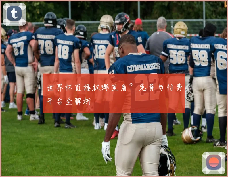 世界杯直播权哪里看?免费与付费平台全解析