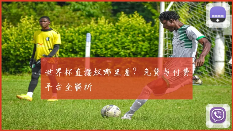 世界杯直播权哪里看?免费与付费平台全解析