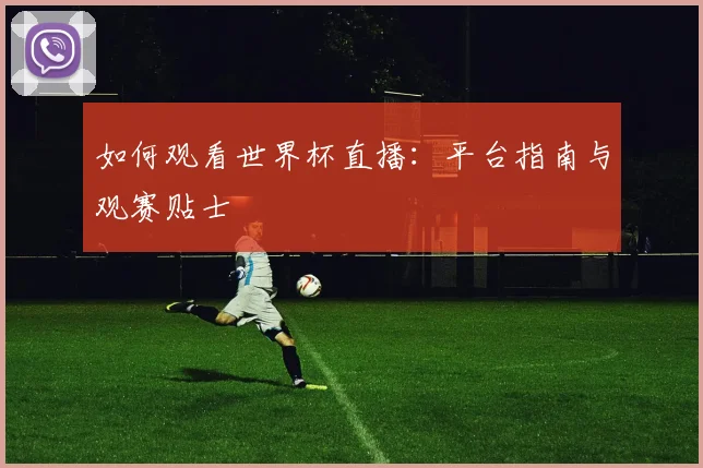 如何观看世界杯直播：平台指南与观赛贴士